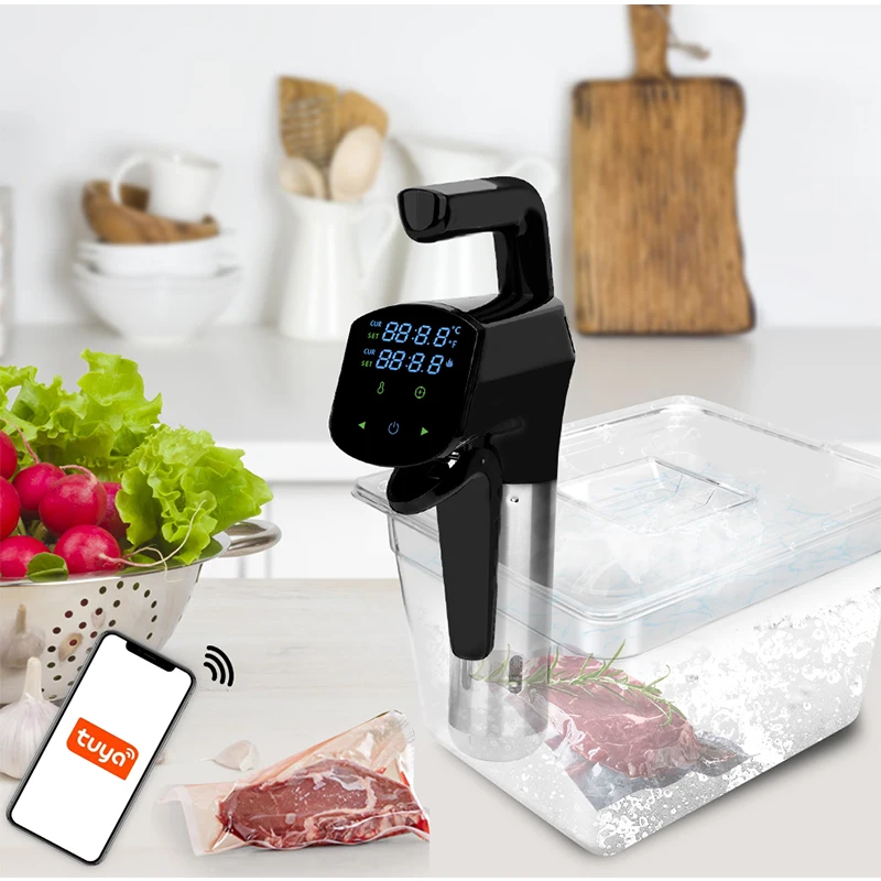 Máquina comercial Sous Vide de - Home Cooking Machine reseña y precio